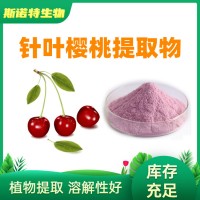針葉櫻桃提取物 針葉櫻桃粉 VC17% 櫻桃果粉
