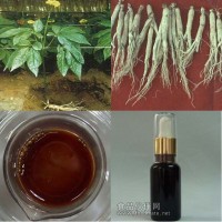 人參油   人參特異香氣