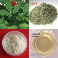人參莖葉總皂甙 低農殘