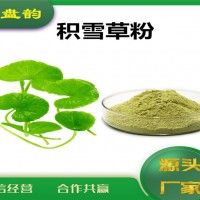 積雪草速溶粉 水溶 積雪草粉 植物提取原料
