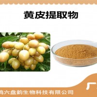 黃皮提取物 黃皮粉 植物提取物 生產(chǎn)廠家