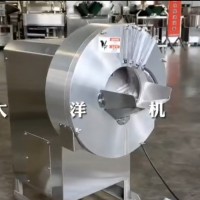 QJ500型不銹鋼腌姜切絲機切姜絲機械大姜切絲機