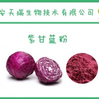 紫甘藍提取物 10：1 天然紫甘藍粉 廠家現貨直銷