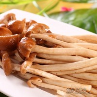 茶樹菇檢測報告,茶樹菇農藥殘留檢測