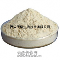 桂圓果肉原汁濃縮粉 桂圓粉
