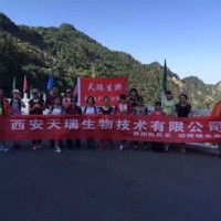 杭白菊多糖35%-50%