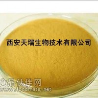羅布麻提取物-廠家