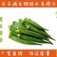 黃秋葵提取物   黃秋葵粉