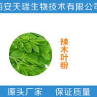 辣木葉提取物  辣木葉粉