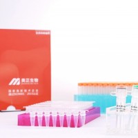 五種致病彎曲菌核酸檢測試劑盒（PCR-探針法）