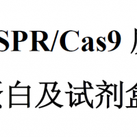 CRISPR/Cas9質(zhì)粒，蛋白及試劑盒