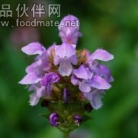 夏枯草粉 夏枯草速溶粉 純粉現貨