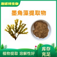 墨角藻提取物10：1 源頭廠家 全水溶 墨角藻粉規格齊全