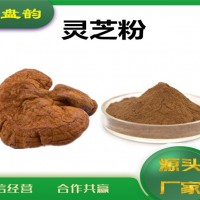 靈芝濃縮粉 靈芝粉 生產廠家