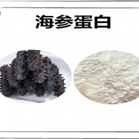 海參提取物 植物提取物 可定制生產 海參蛋白