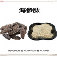 海參提取物 工廠發貨 海參肽