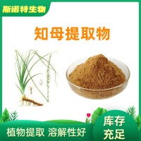 知母提取物10:1 SC源頭廠家現貨供應 水溶性知母粉