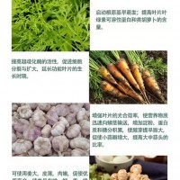 植物促長高產氯化膽堿食品級氯化膽堿全水溶鄭州鴻祥