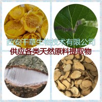 沿階草提取物沿階草濃縮粉沿階草浸膏粉