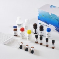 美正生物ME5特布他林ELISA試劑盒