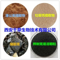 火棘提取物火棘濃縮粉火棘浸膏粉