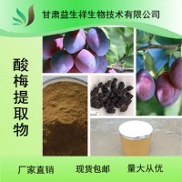 酸梅粉 酸梅果汁代餐粉 烏梅粉 甘肅益生祥