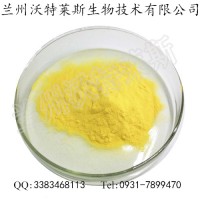 木瓜粉  木瓜汁粉  冷凍干燥純水果粉 免費取樣