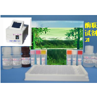 乳酸脫氫酶檢測試劑盒酶聯免疫法--南京鉆恒
