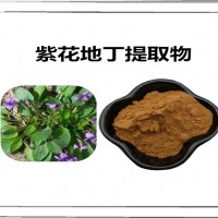 紫花地丁提取物 食品原料 紫花地丁粉