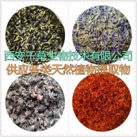 吹云草提取物吹云草濃縮汁粉吹云草浸膏粉