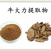 牛大力提取物 牛大力粉 斯諾特自有工廠 批量生產 量大從優