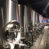 重慶500升啤酒設(shè)備 德國進(jìn)口精釀啤酒設(shè)備史密力維
