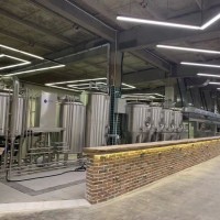 山東精釀啤酒設(shè)備 德國進(jìn)口精釀啤酒設(shè)備 樂山啤酒設(shè)備