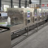 河南新品隧道式蛋品微波殺蟲殺菌機(jī)設(shè)備