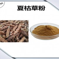 夏枯草濃縮粉 夏枯草粉 生產廠家