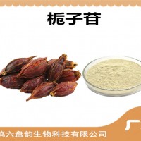 梔子提取物 梔子苷 廠家供應