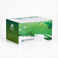 美正生物豆芽中尿素快速檢測試劑