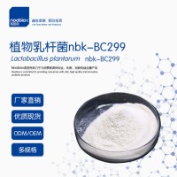 獨有菌株植物乳桿菌BC299 益生菌 活菌滅活菌 抗幽供應