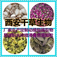 錦燈籠浸膏粉 供應動植物提取物定做錦燈籠濃縮易溶顆粒