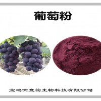 葡萄濃縮粉 葡萄粉 比例提取可定制 植物萃取原料