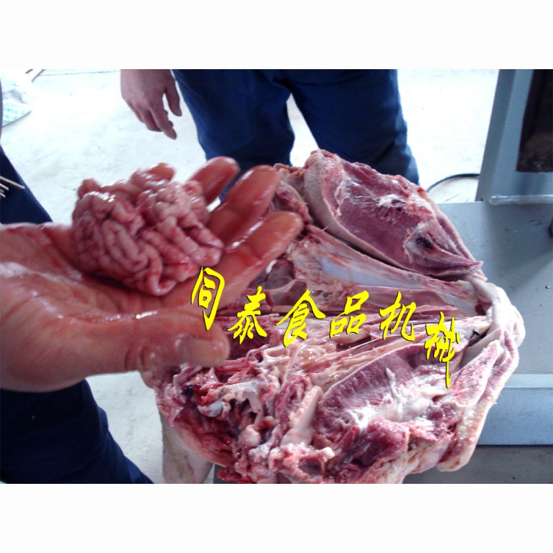 取豬腦1