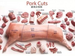 白條豬肉分割技術