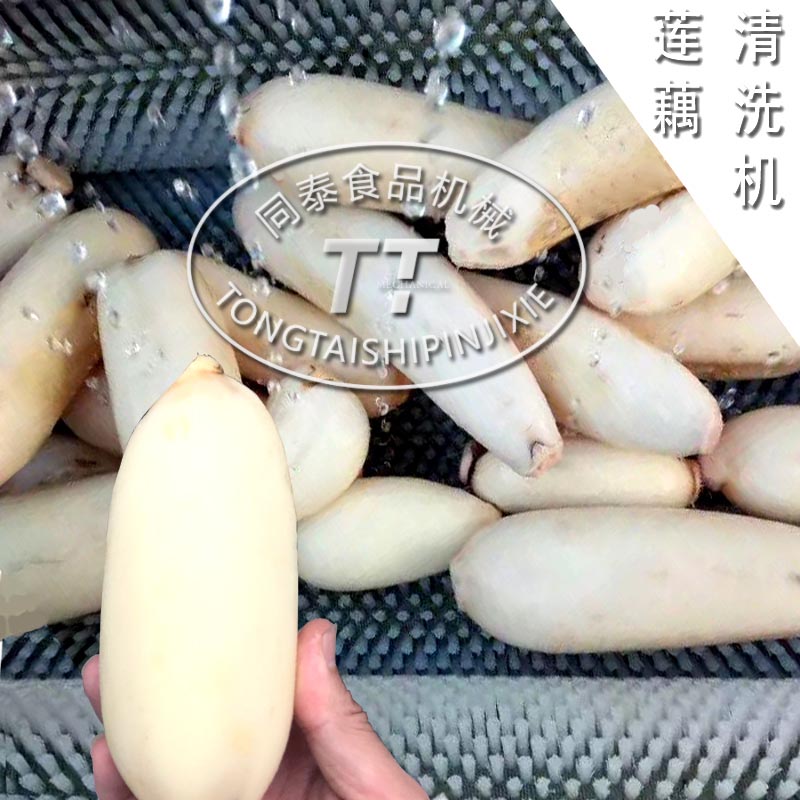 蓮藕清洗去皮