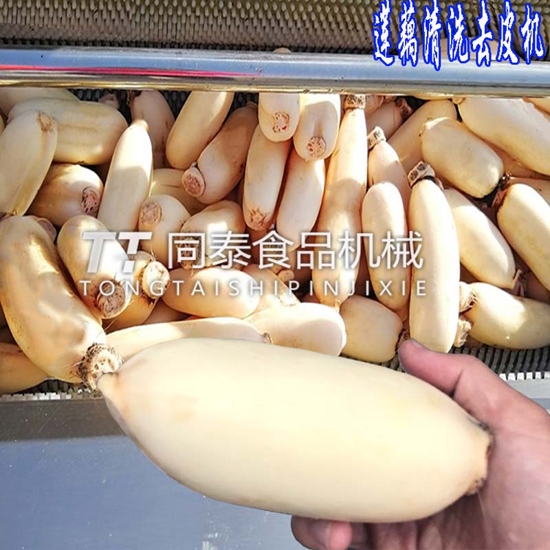 蓮藕清洗去皮機