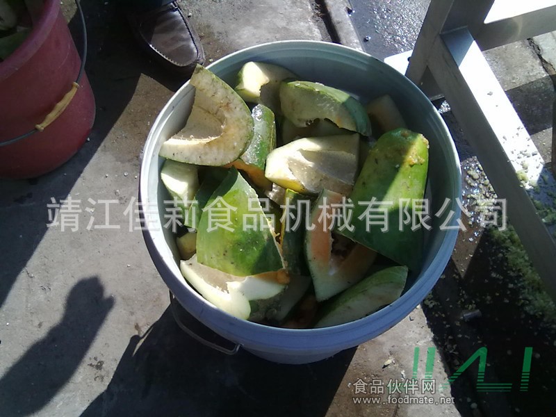 鼠籠式破碎機（木瓜原料）