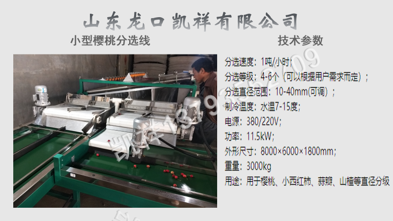 櫻桃選果機(jī)01