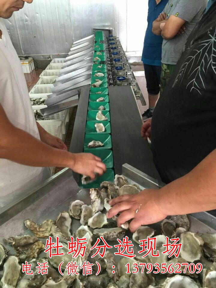 QQ圖片20160907103821_副本