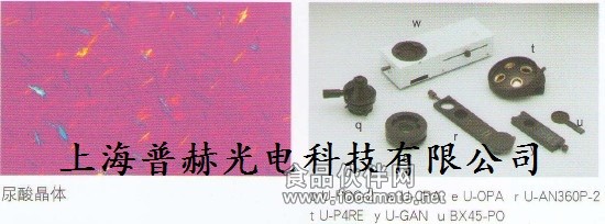 BX53 偏光觀察