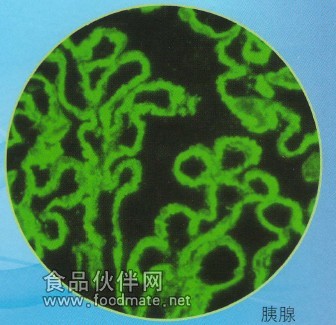 BX43光強度