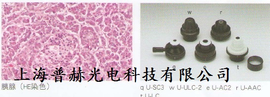 BX53 明場(chǎng)觀察
